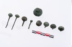 Foto von Bronzekugelkopfnadel (NHMW-PRAE-002325)